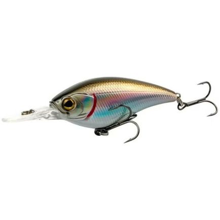 Page 50  Fishing lures 