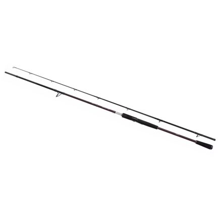 Shimano Yasei BB AX Pike XH Spinning Rod 2.50m/173g/30-90g