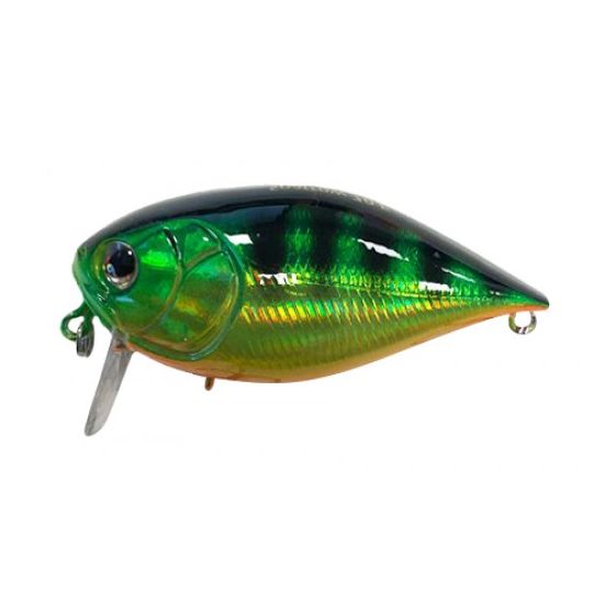 pagrindinė produkto nuotrauka