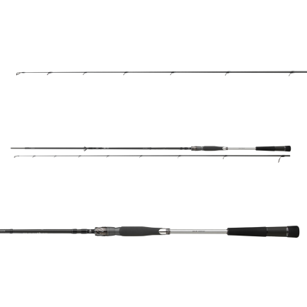 Daiwa Morethan AGS Seatrout Spin 3.10m/155g/5-25g