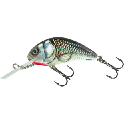 Hornet F Holo Grey Shiner 6cm/10g