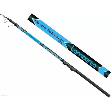 Mistrall Lamberta Cosmo Bolo 6.0m/390g/10-25g