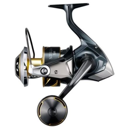 Shimano Ritė Stella SW D 10000 PG