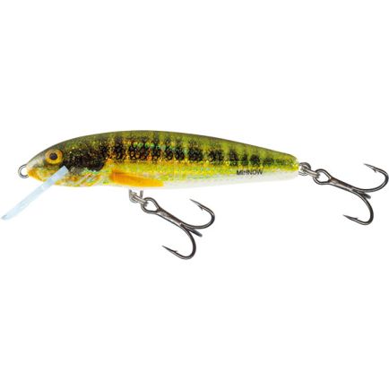 Salmo Minnow S Holo Real Minnow 7cm/8g