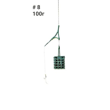 Labunskyi Carp Fiidri valmisrakendus korviga 100g