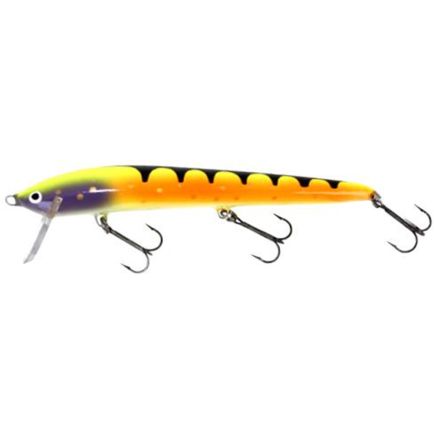 Nils Master Invincible Shallow 017 12cm/13g