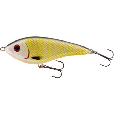 Westin Swim Glidebait Suspending Official Roach 8cm/16g