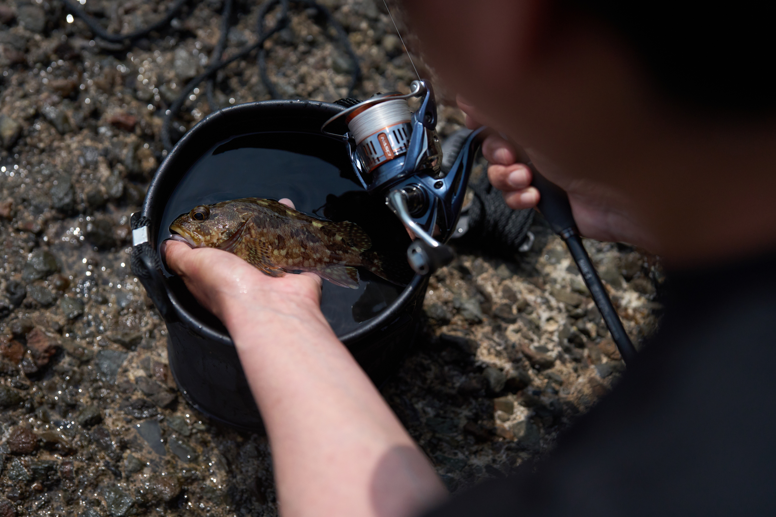 Shimano Nasci с уловом